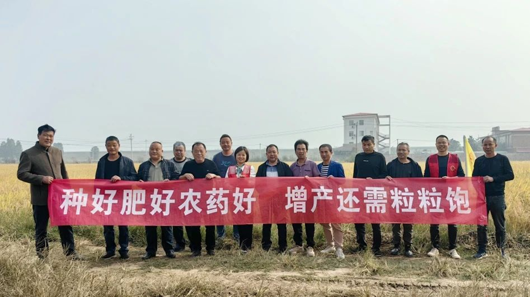 益阳大通湖站丨粒粒丰收间，观摩农肥新技术