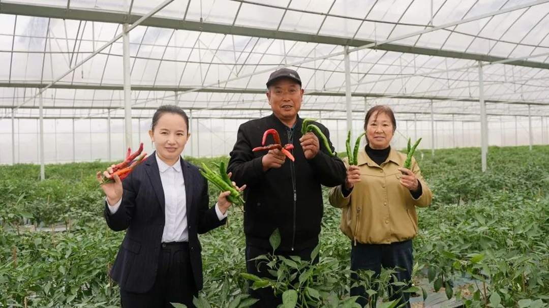 惠民兴农，湖南粒粒饱宁乡靠得住农肥技术交流会成功召开