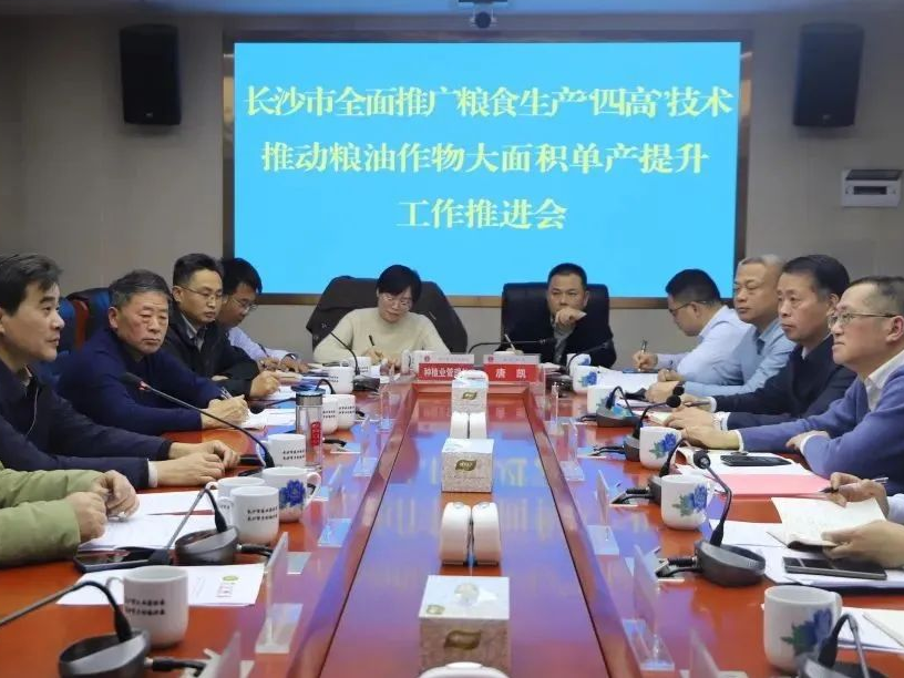 长沙要推广200万亩“四高”水稻田，你符合要求吗？