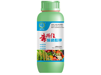叶面神肥烯磷酸钾1000ml