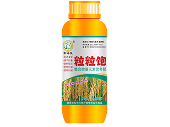 微量元素水溶液250ml水剂