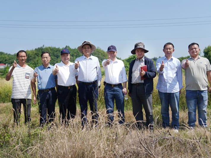 实地实测丨湖南省农学会专家齐聚，岳阳汨罗“靠得住”油菜示范田增产27.5%！