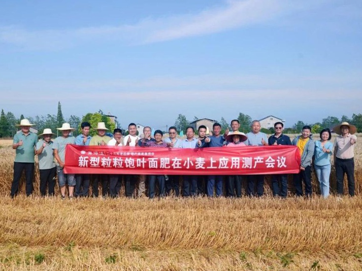 聚焦增产提质丨岳阳华容“靠得住”小麦增产示范田观摩会成功举办