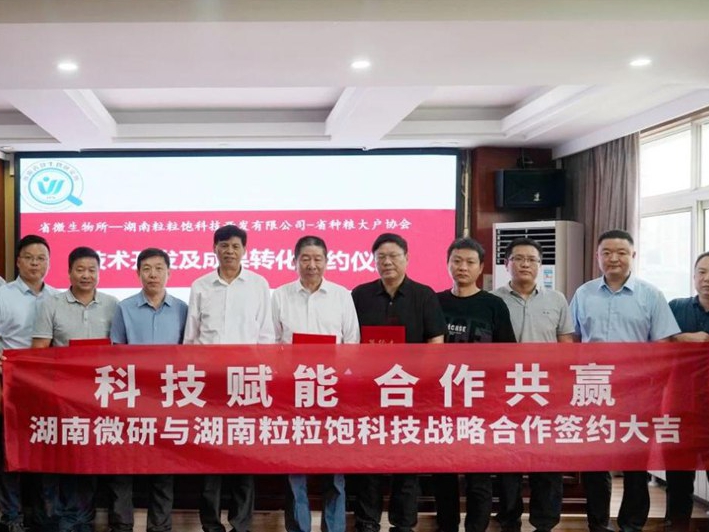 重磅签约！湖南省微生物研究所与湖南粒粒饱合作共赢，联合筑牢湖南农业智慧基石