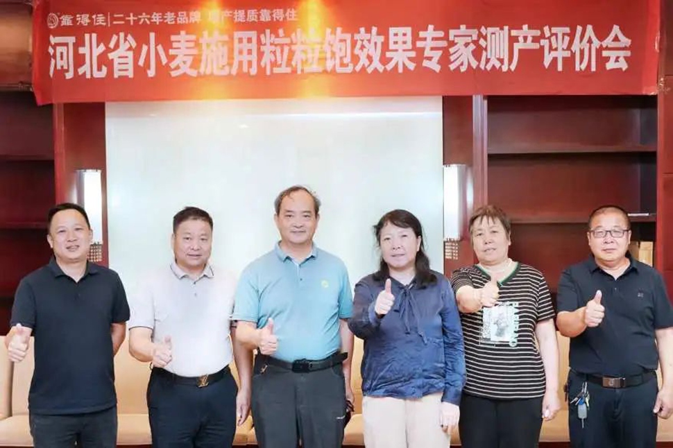 增产13.1%！石家庄夏收实测，专家现场验证“靠得住”小麦高产肥增产提质实力