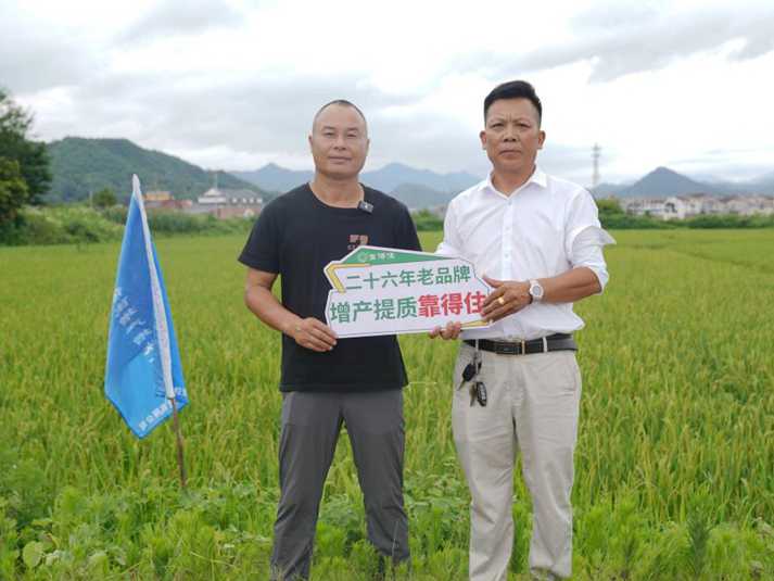 抽穗关键期“补对肥”有多重要？探访宁乡黄材镇种粮大户
