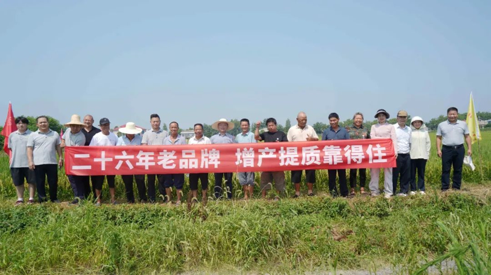 宁乡回龙铺站丨人气爆棚，“靠得住”观摩会见证肥效，农户订购从“试试看”到“放心用”