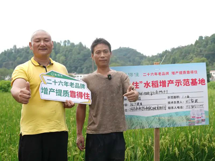 从浏阳早稻田看差异！冲刺高产就靠它！