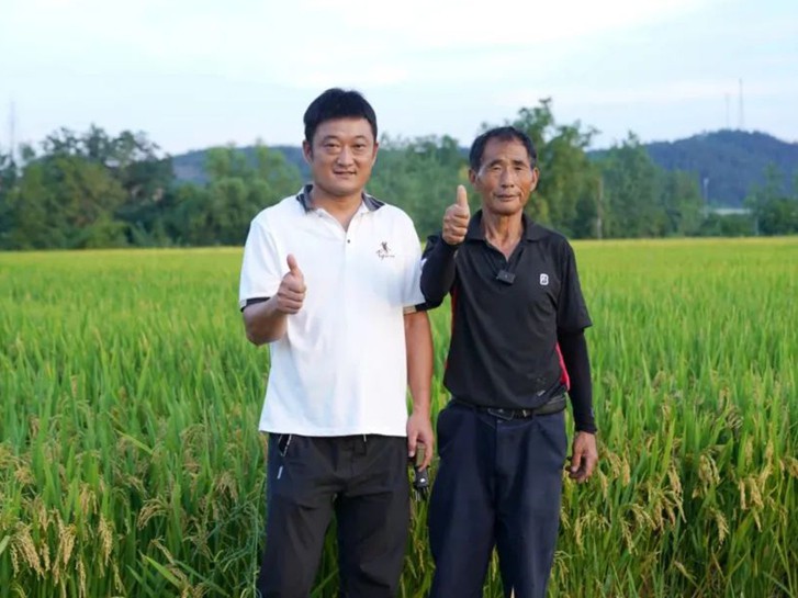 2025年早稻产量数据公布！ “我们”稳居全国首位！