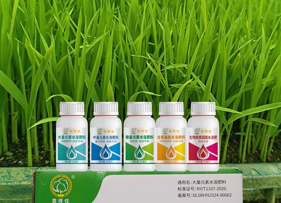 春耕育秧，想苗壮、叶绿、返青快？试试“靠得住”秧苗肥