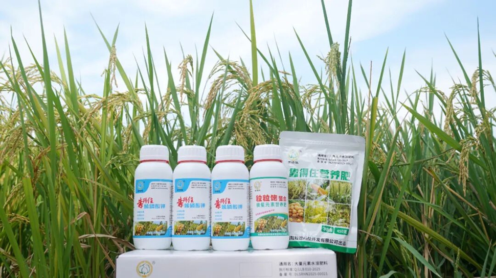 冷空气将至，晚稻增产关键期！湖南农户请抓紧喷施第三次叶面肥