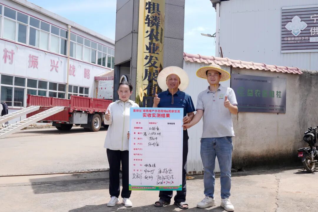 宁乡传喜讯：亩增300斤！