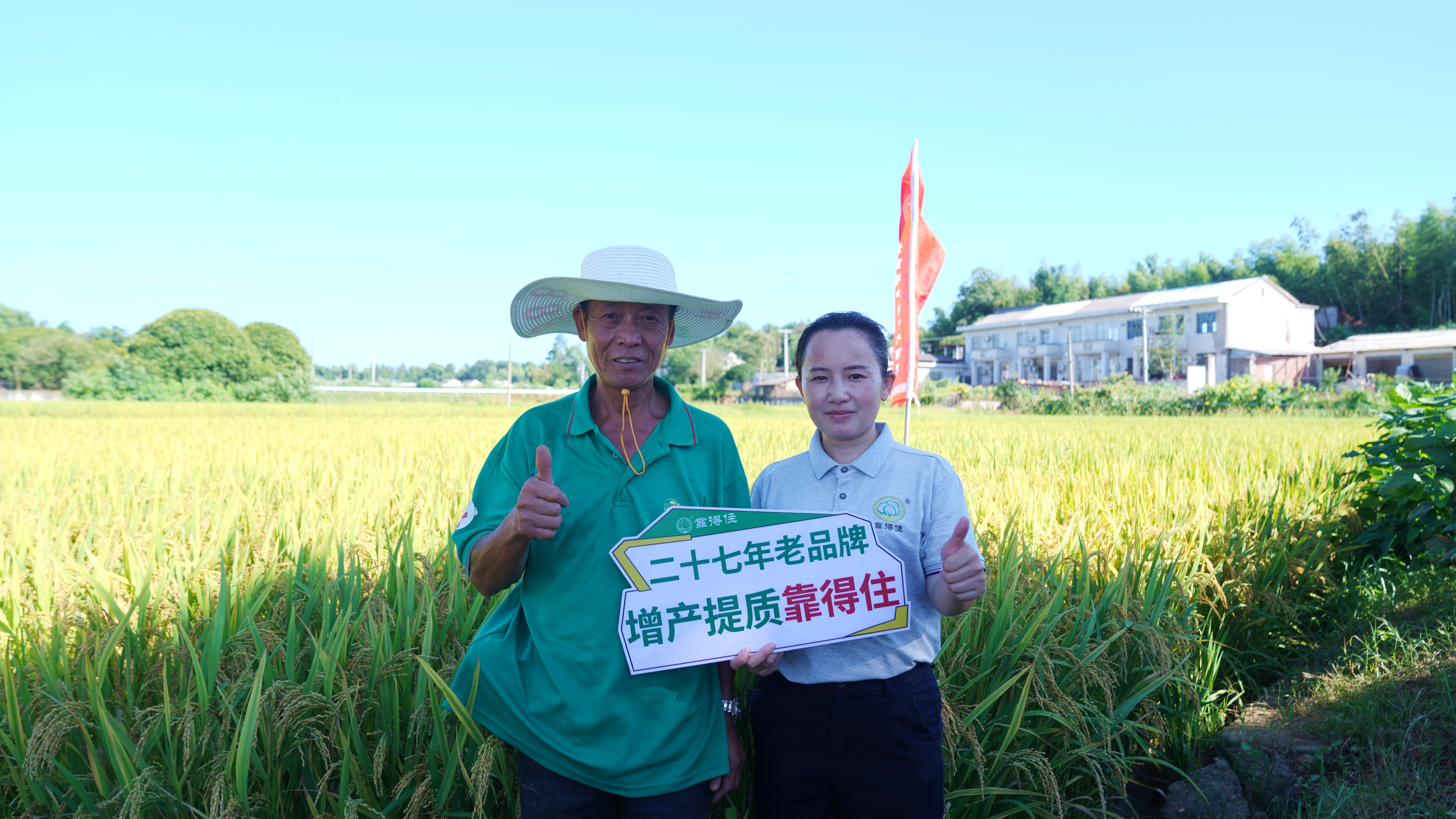 2026早稻收官季，湖南粒粒饱回访宁乡7位大户：“靠得住”增产肥真实效果