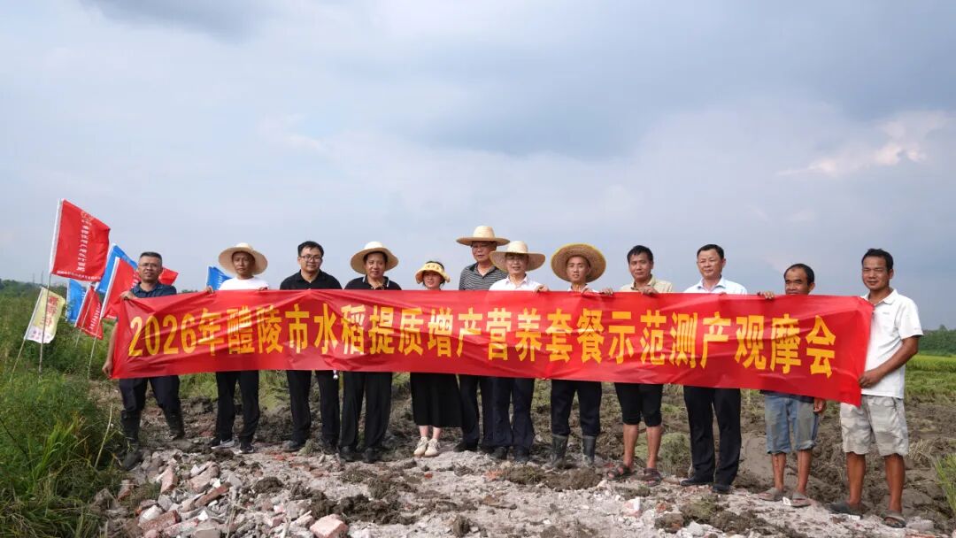 湖南粒粒饱科技随同醴陵市农业农村局开展再生稻实收测产